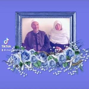 Meet your Posher, Roya